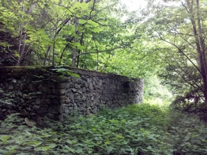 Proprietate rară în inima Retezatului   5.700 mp teren intravilan - imagine 12