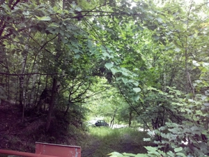 Proprietate rară în inima Retezatului   5.700 mp teren intravilan