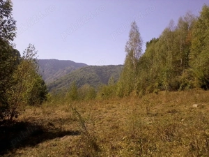 Proprietate rară în inima Retezatului   5.700 mp teren intravilan - imagine 3