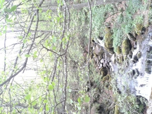 Proprietate rară în inima Retezatului   5.700 mp teren intravilan - imagine 17