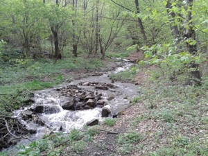 Proprietate rară în inima Retezatului   5.700 mp teren intravilan - imagine 7