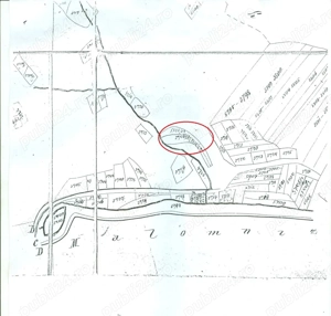 Proprietate rară în inima Retezatului   5.700 mp teren intravilan - imagine 6