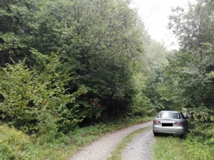 Proprietate rară în inima Retezatului   5.700 mp teren intravilan - imagine 16