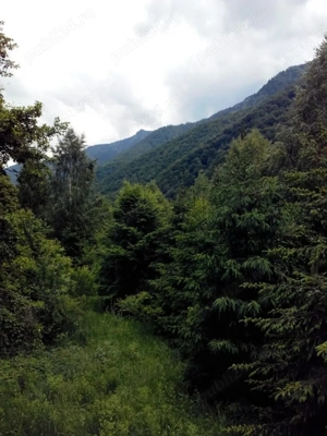 Proprietate rară în inima Retezatului   5.700 mp teren intravilan - imagine 10