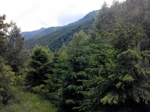 Proprietate rară în inima Retezatului   5.700 mp teren intravilan - imagine 15