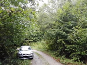 Proprietate rară în inima Retezatului   5.700 mp teren intravilan - imagine 8