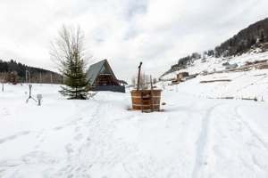 Teren 7,656 mp + Cabane tip A Frame, Fundata - imagine 5