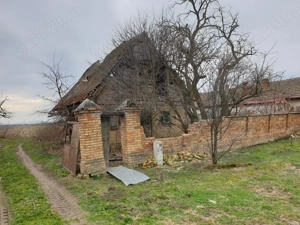 Teren intravilan (curte + grădină) comuna Belinț