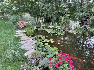 Intretinere gradini si spatii verzi