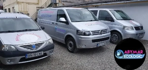 Angajez sofer categoria B livrator covoare