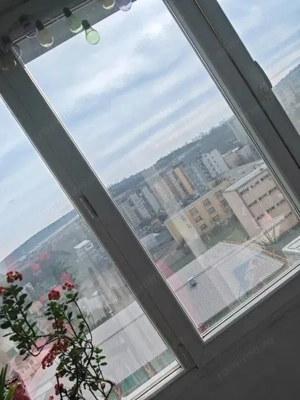 Dambu Pietros - Vanzare apartament 2 camere - B-dul. 1848 - imagine 5