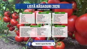 Vand Rasad Rosii Ardei Vinete Castraveti Telina | Rasaduri Legume 2026
