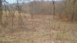 Cutatat teren cu motocoasa