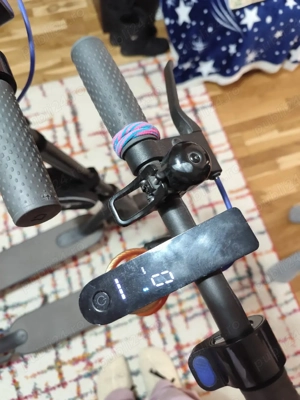 vand troty electrice