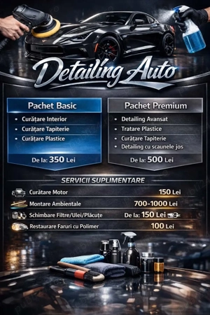 Detailing Auto Profesional 