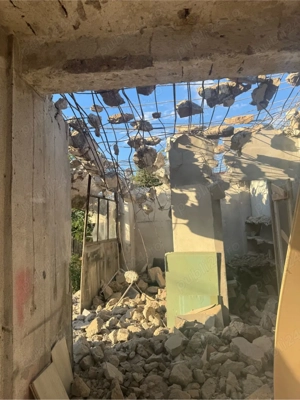 bobcat cu picon  - imagine 4