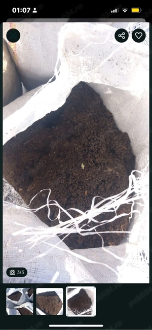 vand marnița la sac 