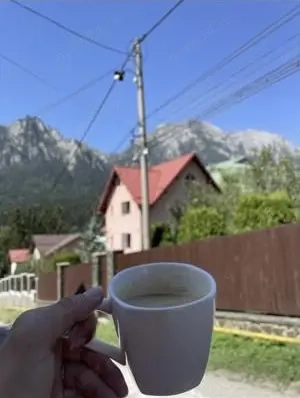 Vând Casa zona Zamora-Busteni  cu vedere la Munții Bucegi și Crucea Caraiman. - imagine 9