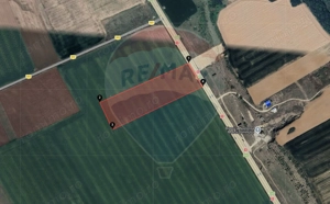 Teren 30.000 mp | Deschidere 89,4 m la DN1 | Florești, Prahova - imagine 2