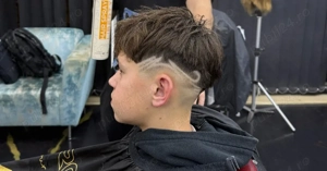 frizer la domicilul,