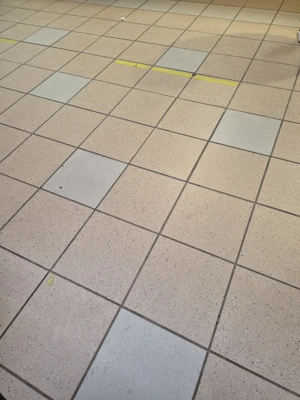 domn 47 cluj caut prietenie reciproc avantajoasă 