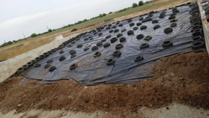 Ferma zootehnică funcțională, populată cu peste 200 capete bovine, aproape de Sânnicolau Mare - imagine 12