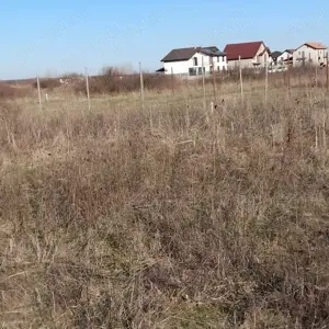 Proprietar, vand teren curți construcții, Moșnița Noua, 1000 mp - imagine 3