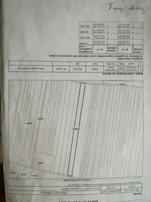 Teren extravilan Carcea - imagine 3