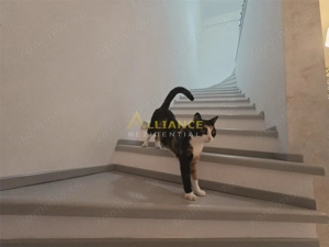 Casa mobilata si utilata  - 3 camere-600 m de STV - imagine 16