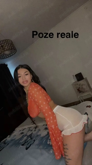 Bună lory  doar deplasări  - imagine 2