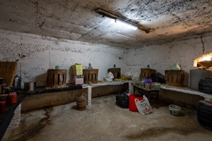 Casa de vanzare cu 2 camere si teren 1068 mp zona Renașterii - imagine 9