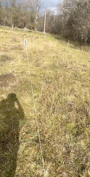 Vând teren intravilan in com.Av.Iancu ,2392 m .Facilitati apă și curent electric.Pret 9euro m ,negoc - imagine 2