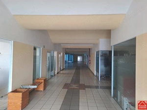 Hala pentru activitati industriale sau comerciale in Zona Industriala Arad Est - imagine 4