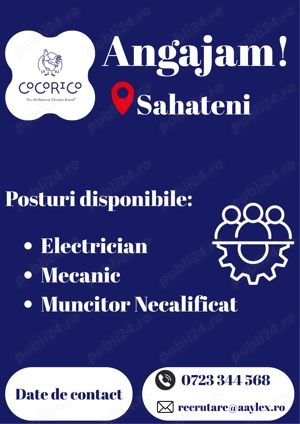 Angajam Personal Statie de Incubatie si Ferma Reproductie Rase Grele