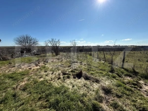 Casa P+1 renovabila, 1008 mp de teren, Sarbatoarea - imagine 7