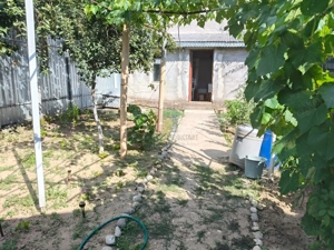 Casa 4 camere, Radu Negru, Teren - 264 mp - imagine 8