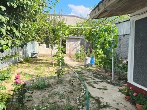 Casa 4 camere, Radu Negru, Teren - 264 mp - imagine 3