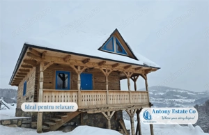 Antony Estate | Stejarul Rosiei - Casa traditionala de vanzare - imagine 8