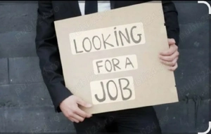 Sofer profesionist,disponibil ptr colaborare stabilă