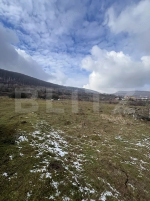 Comision 0 - Teren intravilan 20 arii acces DN15, Viisoara