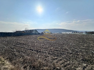 De vanzare teren intravilan Hemeius Bacau - imagine 6