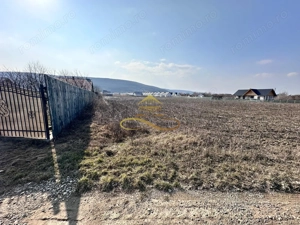 De vanzare teren intravilan Hemeius Bacau - imagine 4