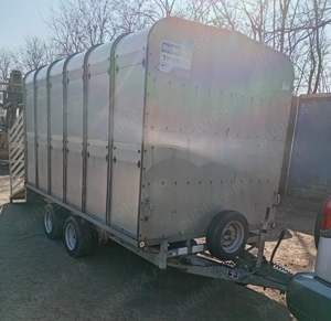 Vand remorca  platforma pentru animale Ifor Williams - imagine 2