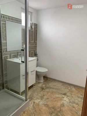 Casa individuala cu 16 camere de inchiriat, zona Sag - imagine 16