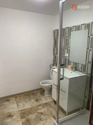 Casa individuala cu 16 camere de inchiriat, zona Sag - imagine 15