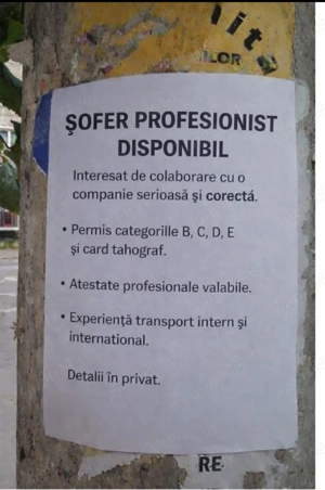 Sofer profesionist disponibil 