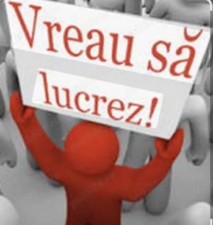 Șofer cu experiența,caut angajare