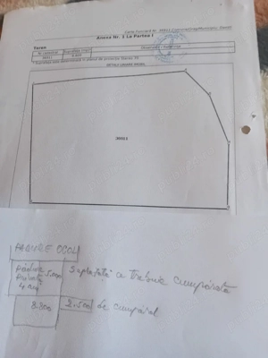 Vand terenuri extravilan pe marginea padurii ce se preteaza pentru impadurire in supeafata de 60000 - imagine 4