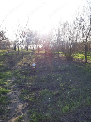 De vânzare casă cu teren în Vărăști județul Giurgiu  - imagine 3