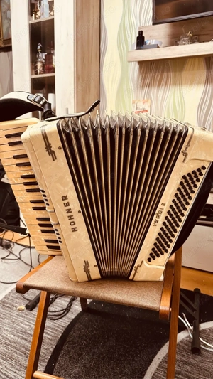 acordeon din colectia personala 